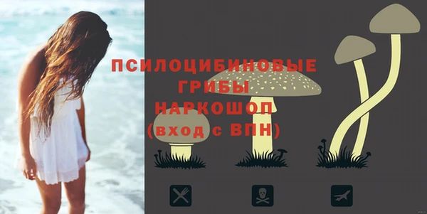 гашик Алзамай