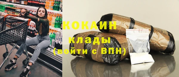 гашик Алзамай
