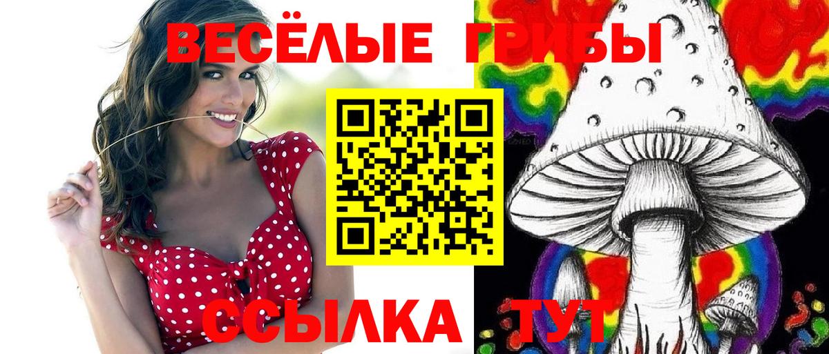 Псилоцибиновые грибы GOLDEN TEACHER  Вход с VPN  Губкин 