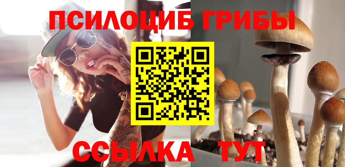 Галлюциногенные грибы Psilocybine cubensis Губкин